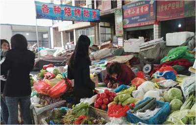 推進(jìn)食品藥品安全戰(zhàn)略,建設(shè)健康美麗臨洮——食用農(nóng)產(chǎn)品初加工的關(guān)鍵路徑