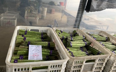 我縣開出首批《食用農(nóng)產(chǎn)品合格證》，食用農(nóng)產(chǎn)品初加工邁入規(guī)范管理新階段