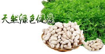 區塊鏈溯源 揭開有機農產品的偽裝術，重塑食用農產品批發新生態