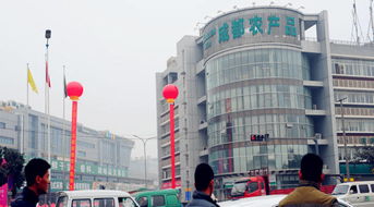 春節(jié)探市 走進(jìn)成都海吉星農(nóng)產(chǎn)品批發(fā)市場(chǎng)，感受食用農(nóng)產(chǎn)品供應(yīng)熱潮